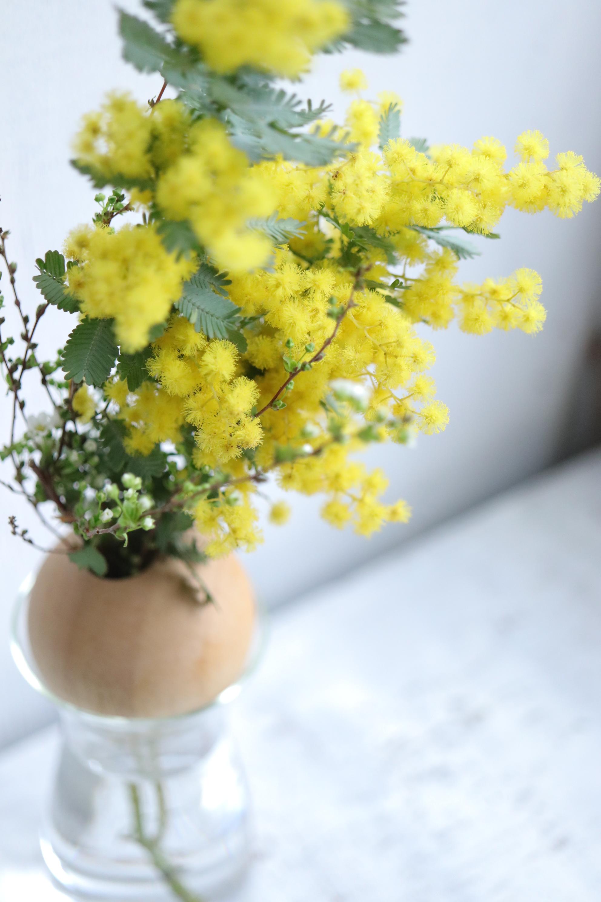 花のある暮らしの始めの一歩セット〜生花もドライフラワーも＊1輪挿しもブーケも飾れるベースセット | 8枚目