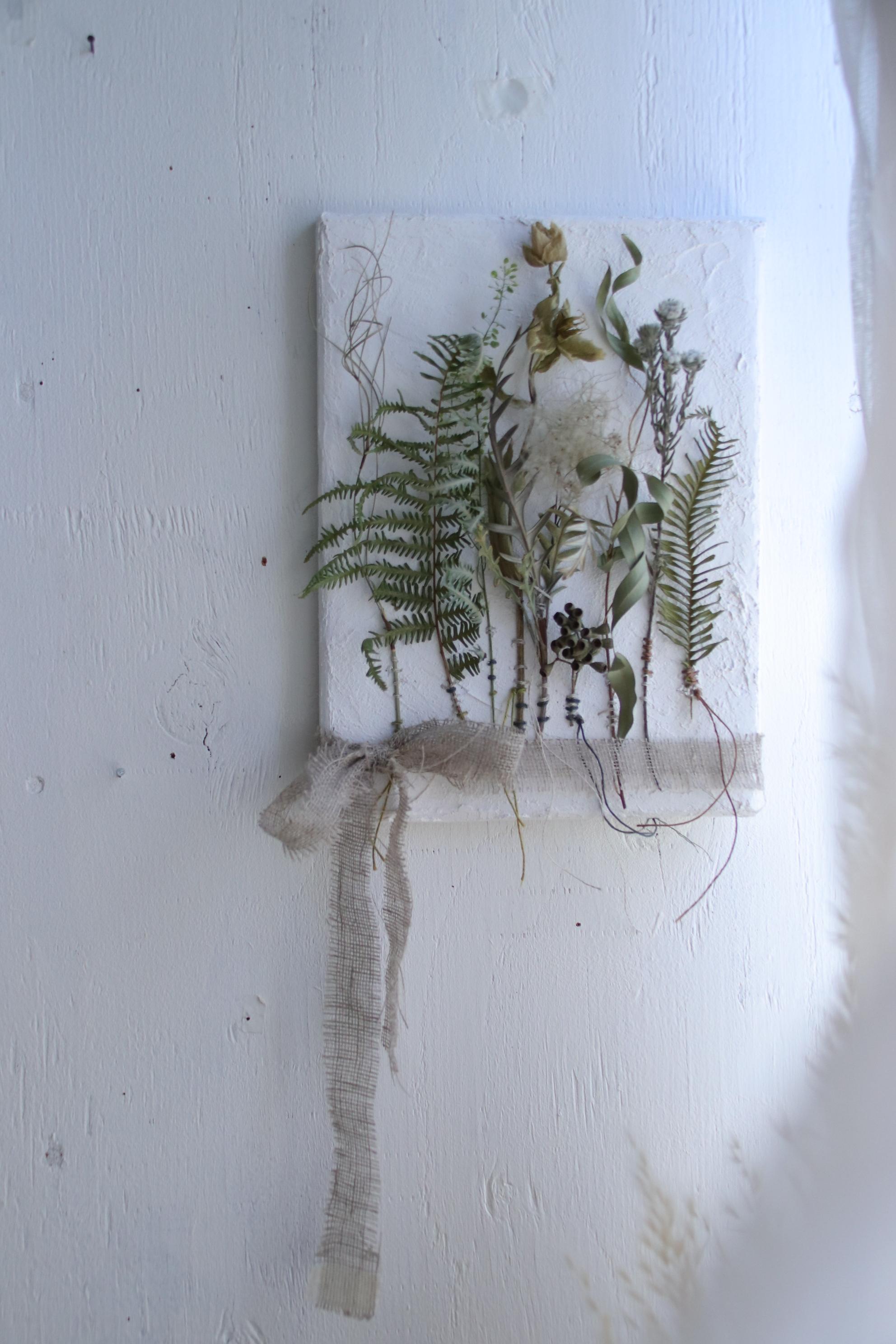 漆喰アートキャンバス*シダ類とうねる植物を柿渋染め糸で留めて1枚目の画像