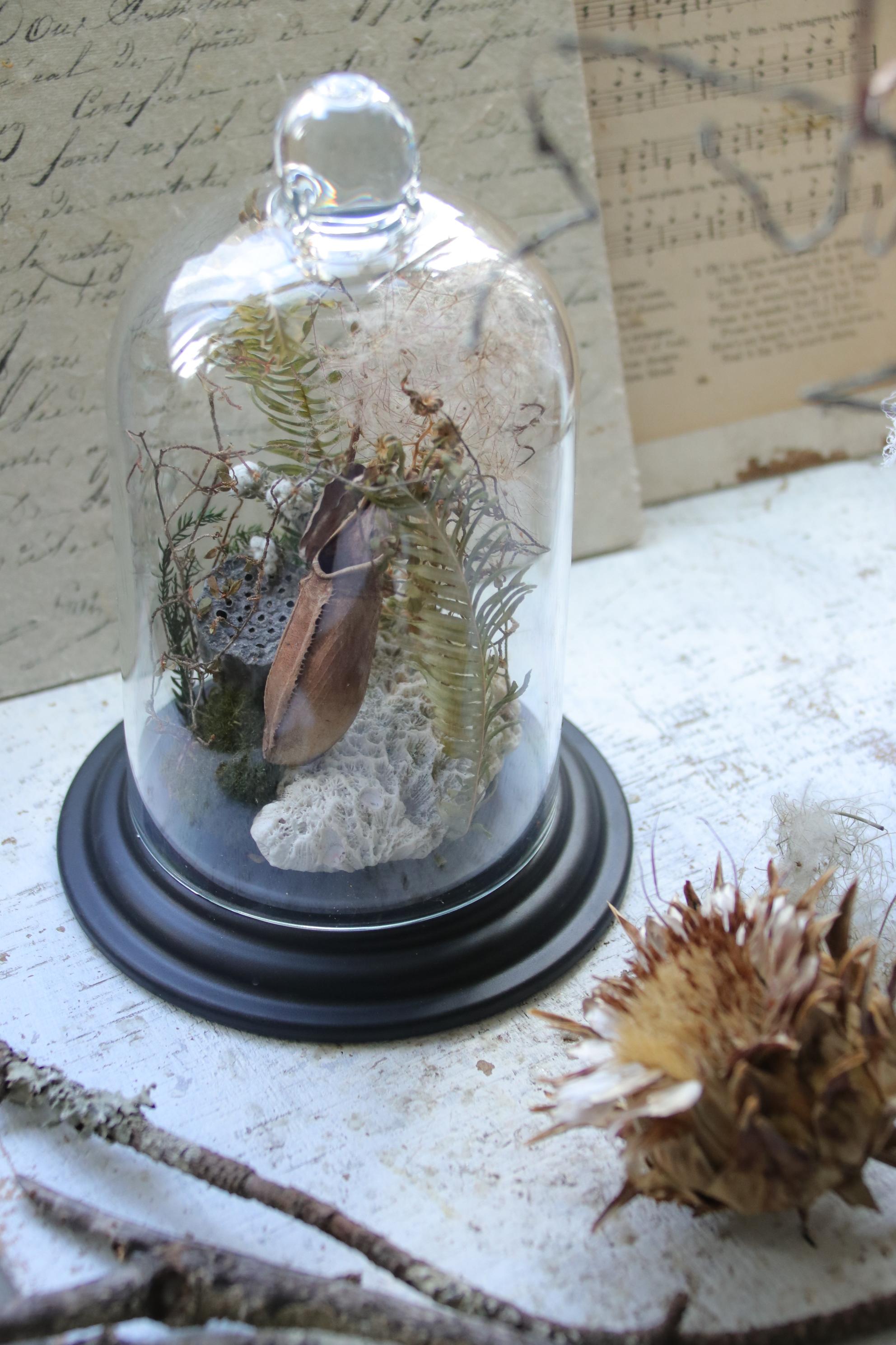 ボタニカルドームアレンジ